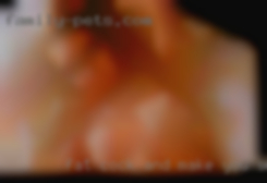 Fat cock and make you swingers sqwarm for hours from Pennsylvania.
